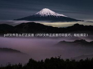 pdf文件怎么打正反面（PDF文件正反面打印技巧，轻松搞定）