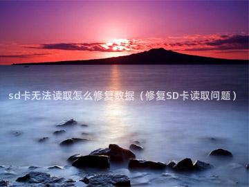 sd卡无法读取怎么修复数据（修复SD卡读取问题）